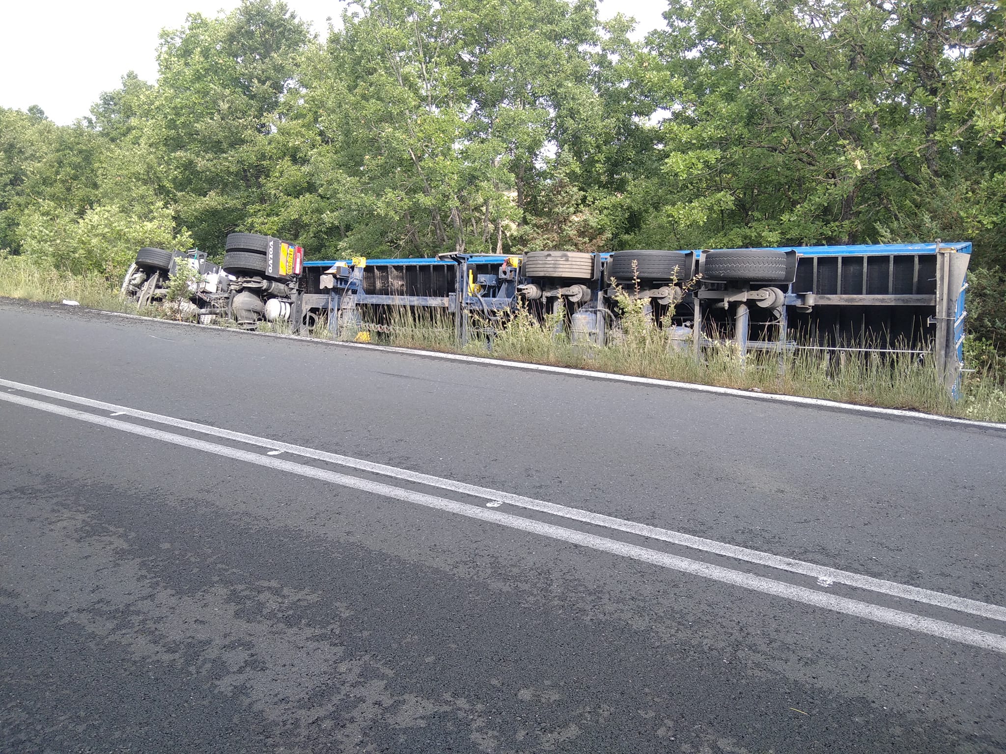 299315318 599045255135882 4203039823808448921 n