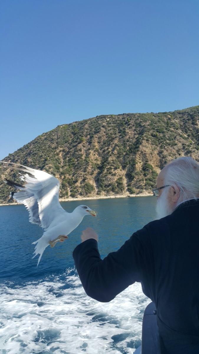 0 02 05 dbc8b93d9927e1dd8069de767fabc75f8b559391f4c5653a89ae5a2645d17e6f 999b0792620d8372