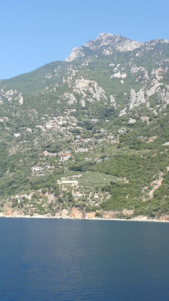 0 02 05 e4336e34ca622c3bb56f6c8686c8731f9a095ed8c58557b0d897d940e7fcea2f 49d82bf236b2ed64