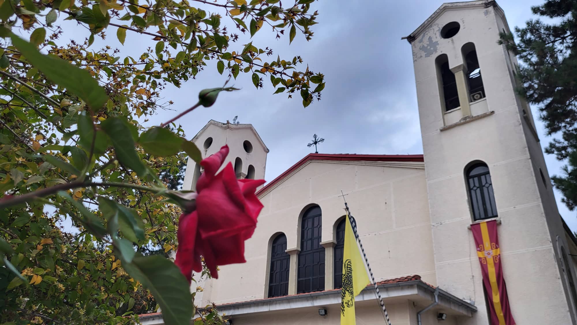 310939138 436622645252956 2063854421116379558 n