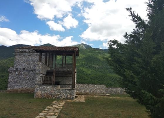 torniki2
