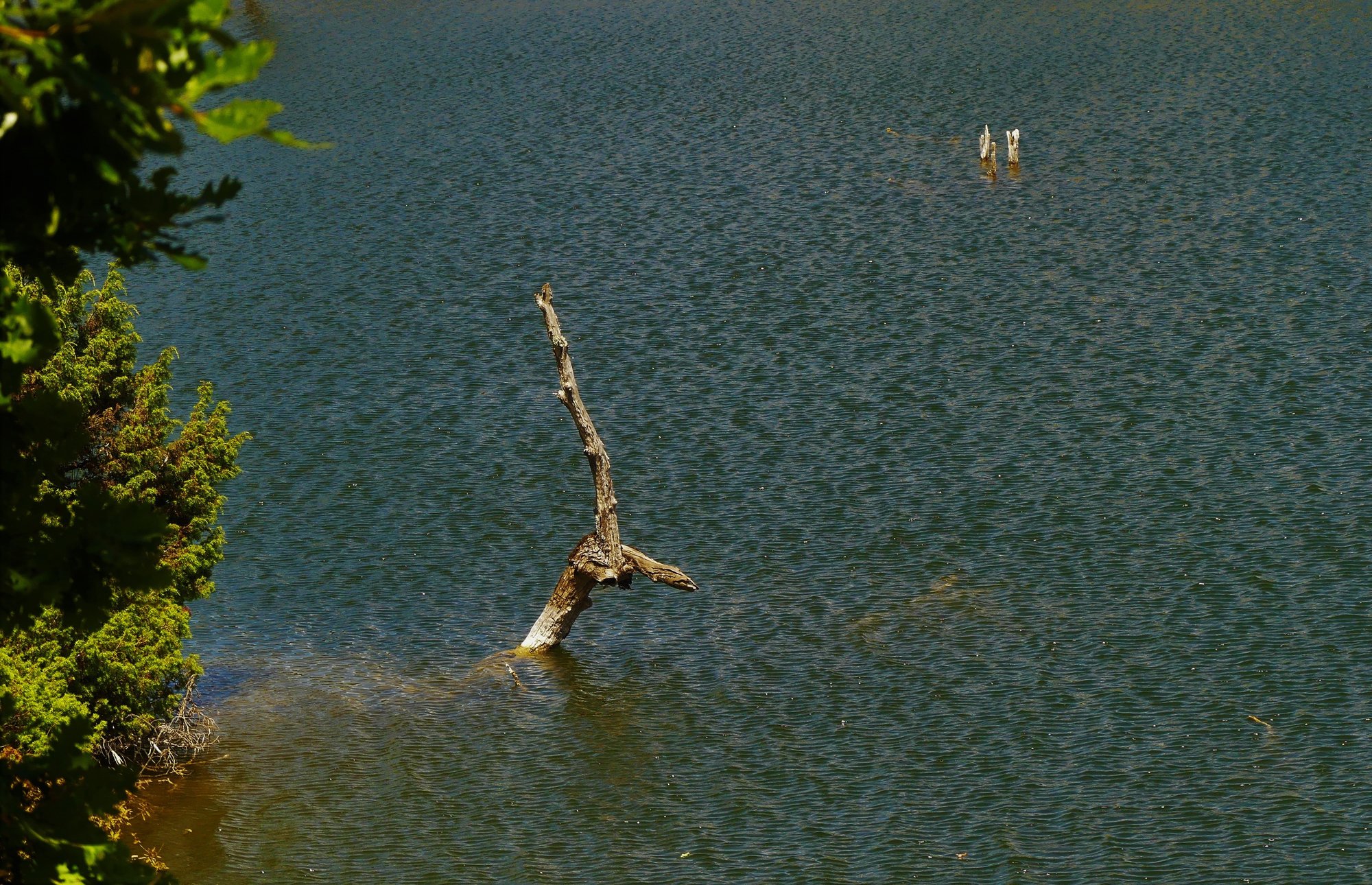 lia mageira aimilianou2