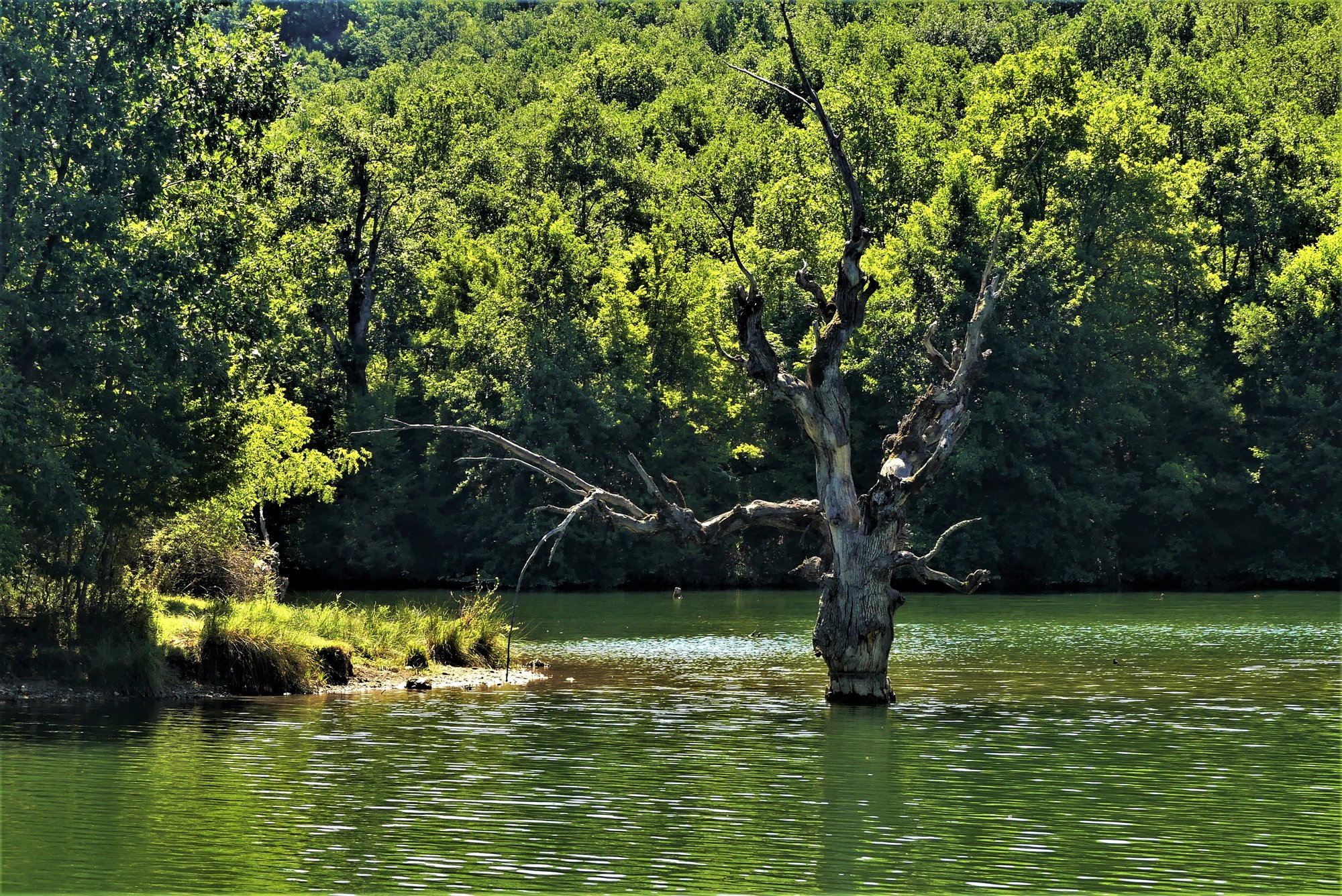 lia mageira katakali1