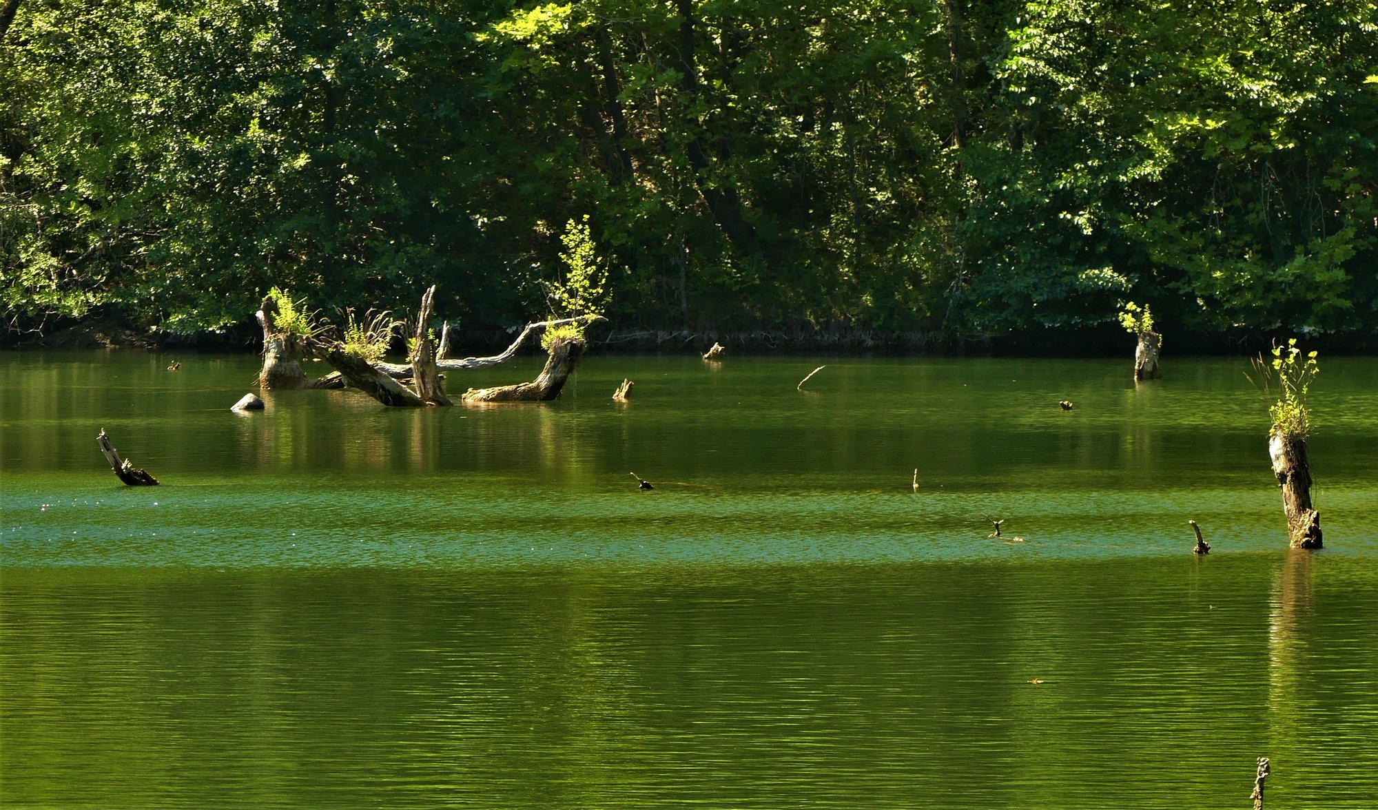 lia mageira katakali2