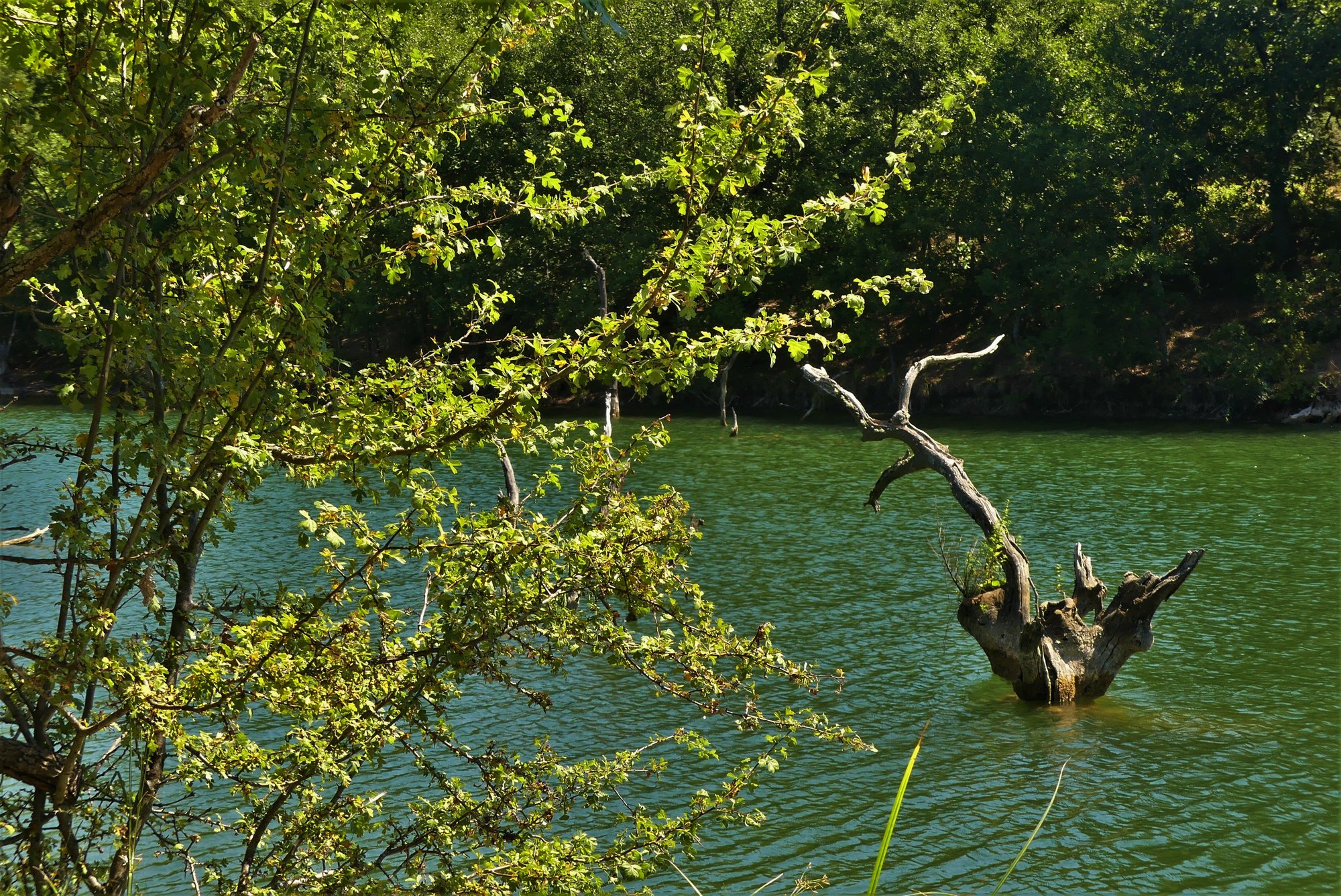 lia mageira katakali3