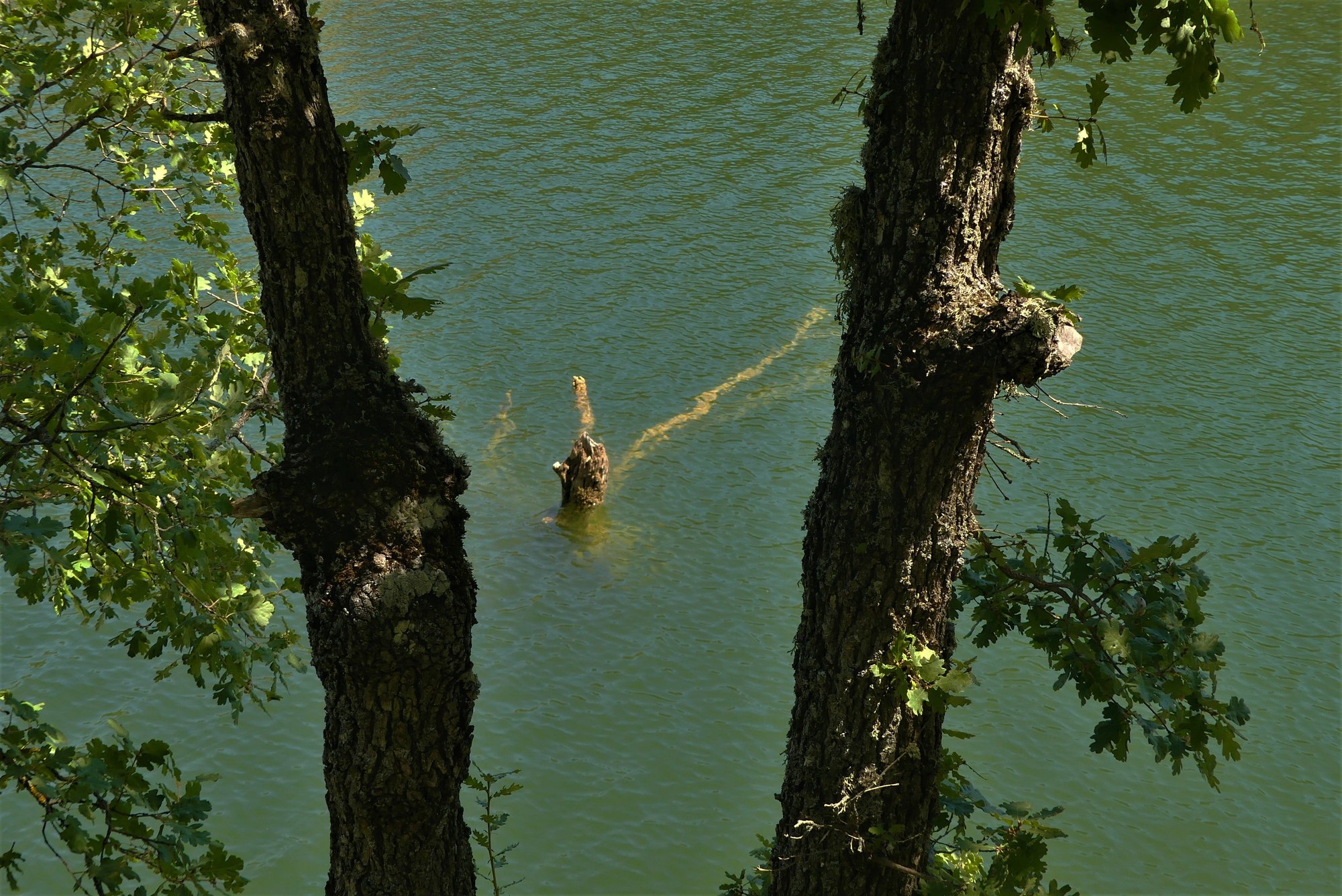 lia mageira katakali5