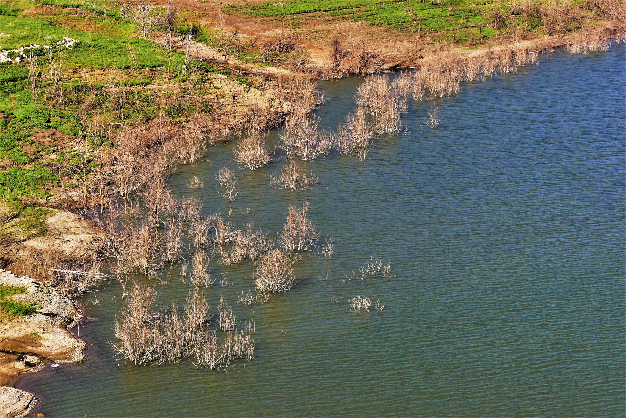 lia mageira aliakmonas3