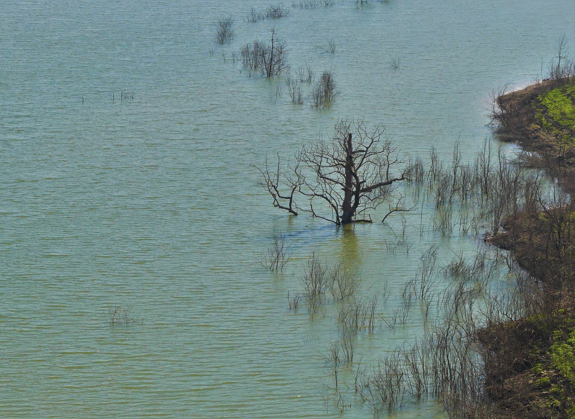 lia mageira aliakmonas4