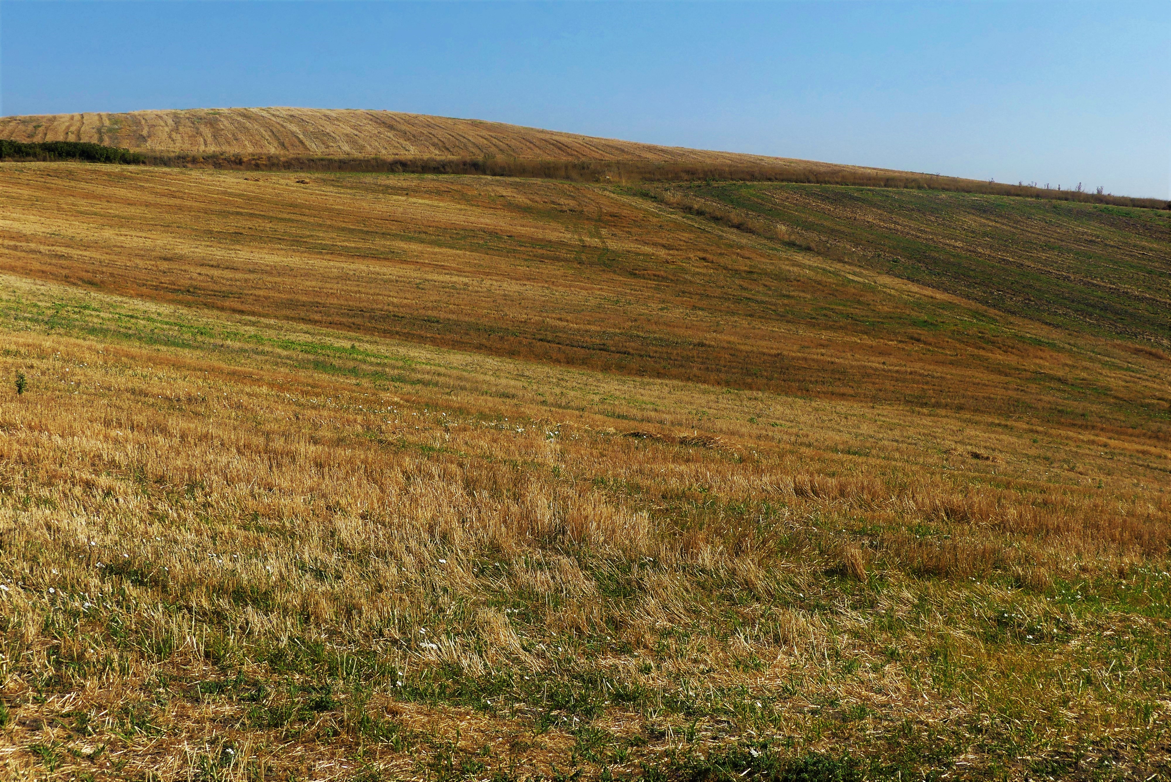 lia mageira starochorafa