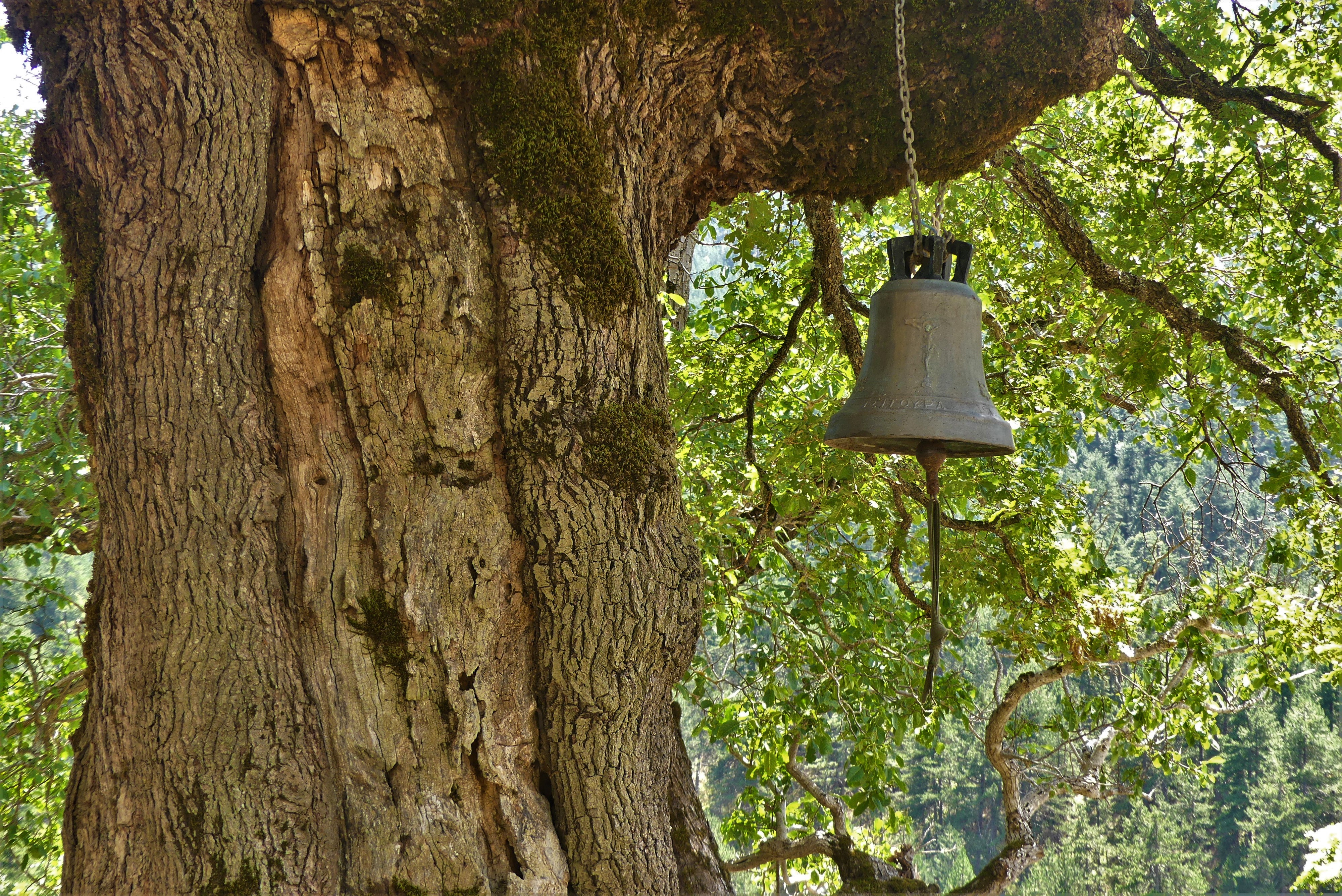 lia 24 6 2020 agios nikolaos kampana