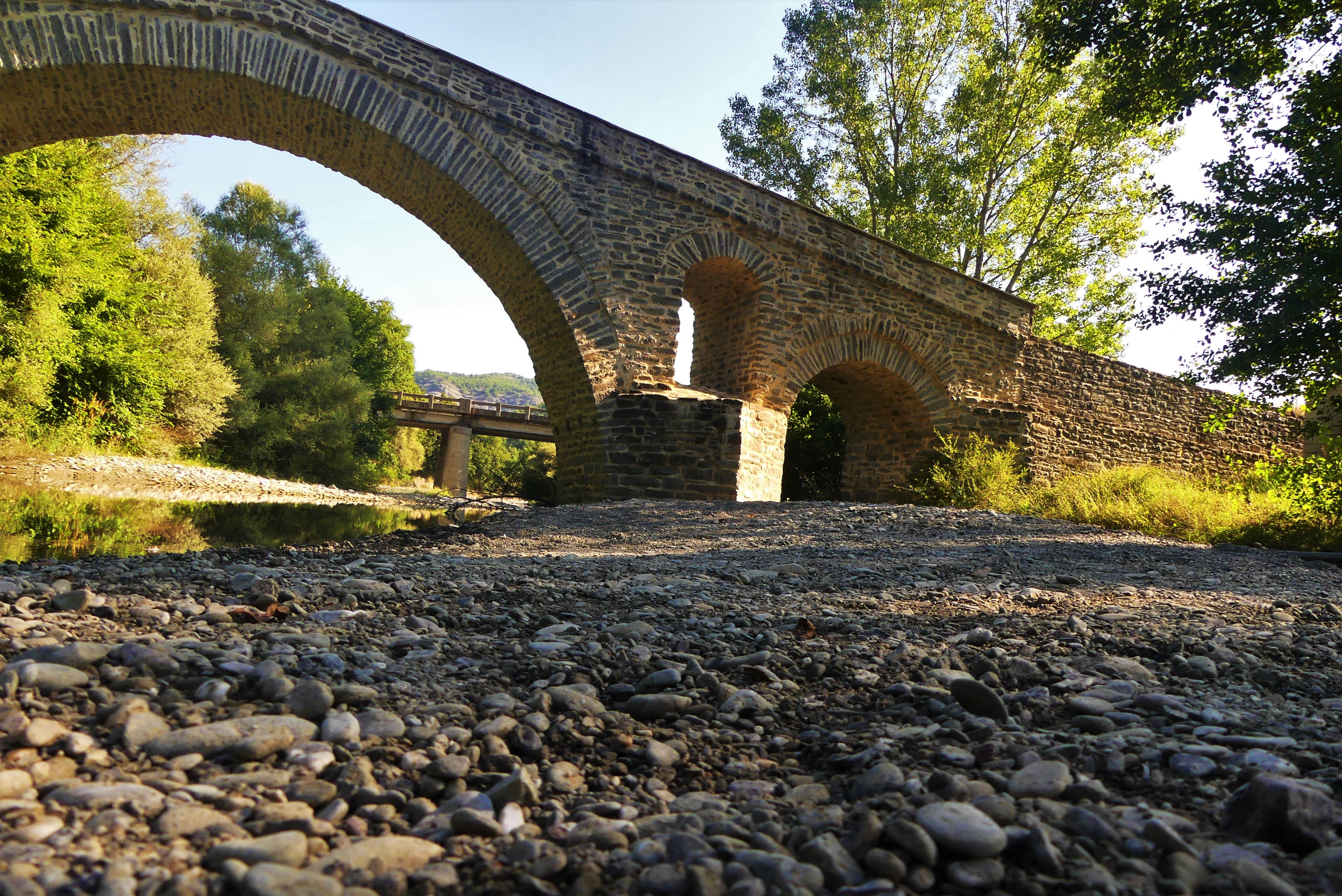 lia 24 6 2020 ziakas gefyri19