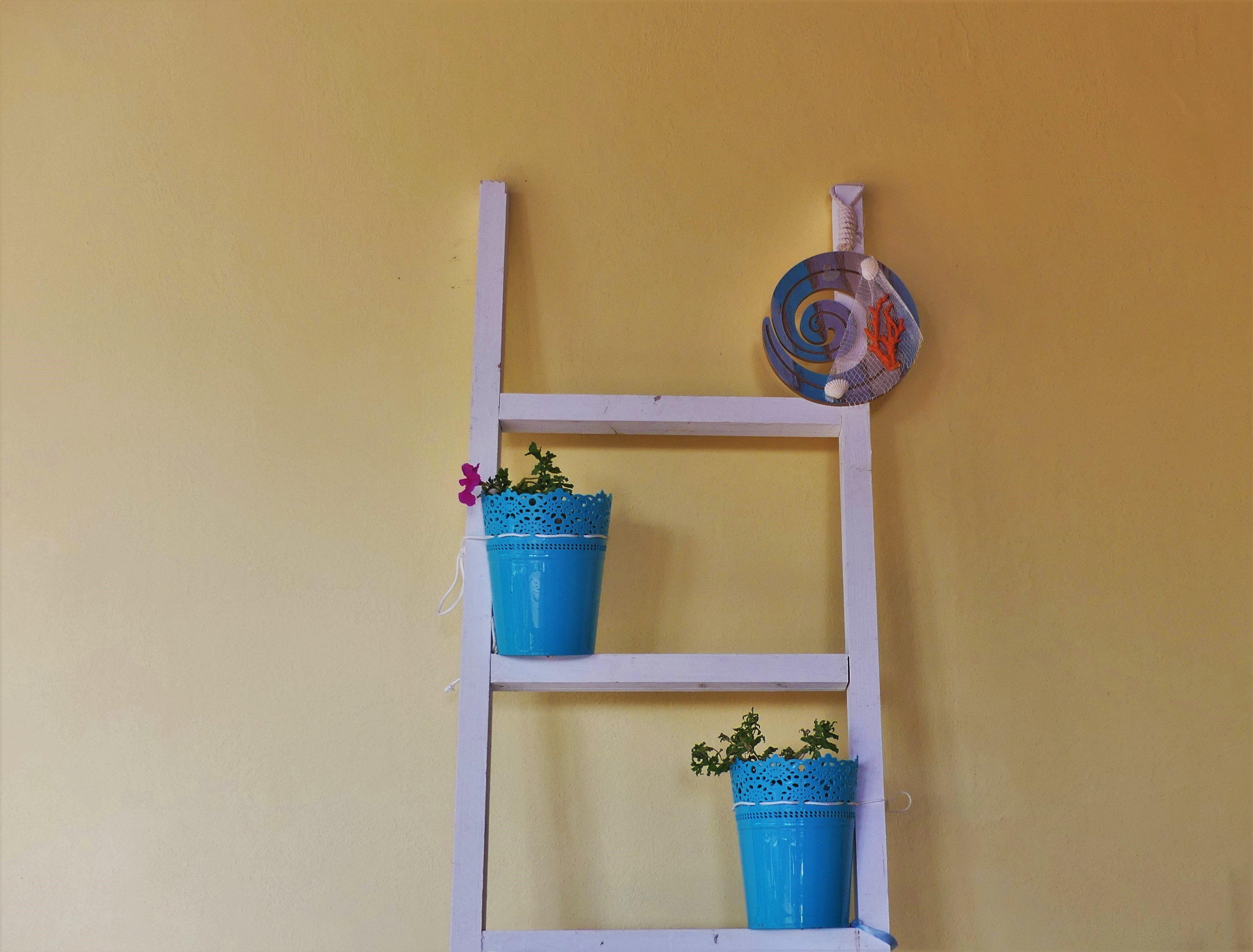 lia 24 6 2020 ziakas x