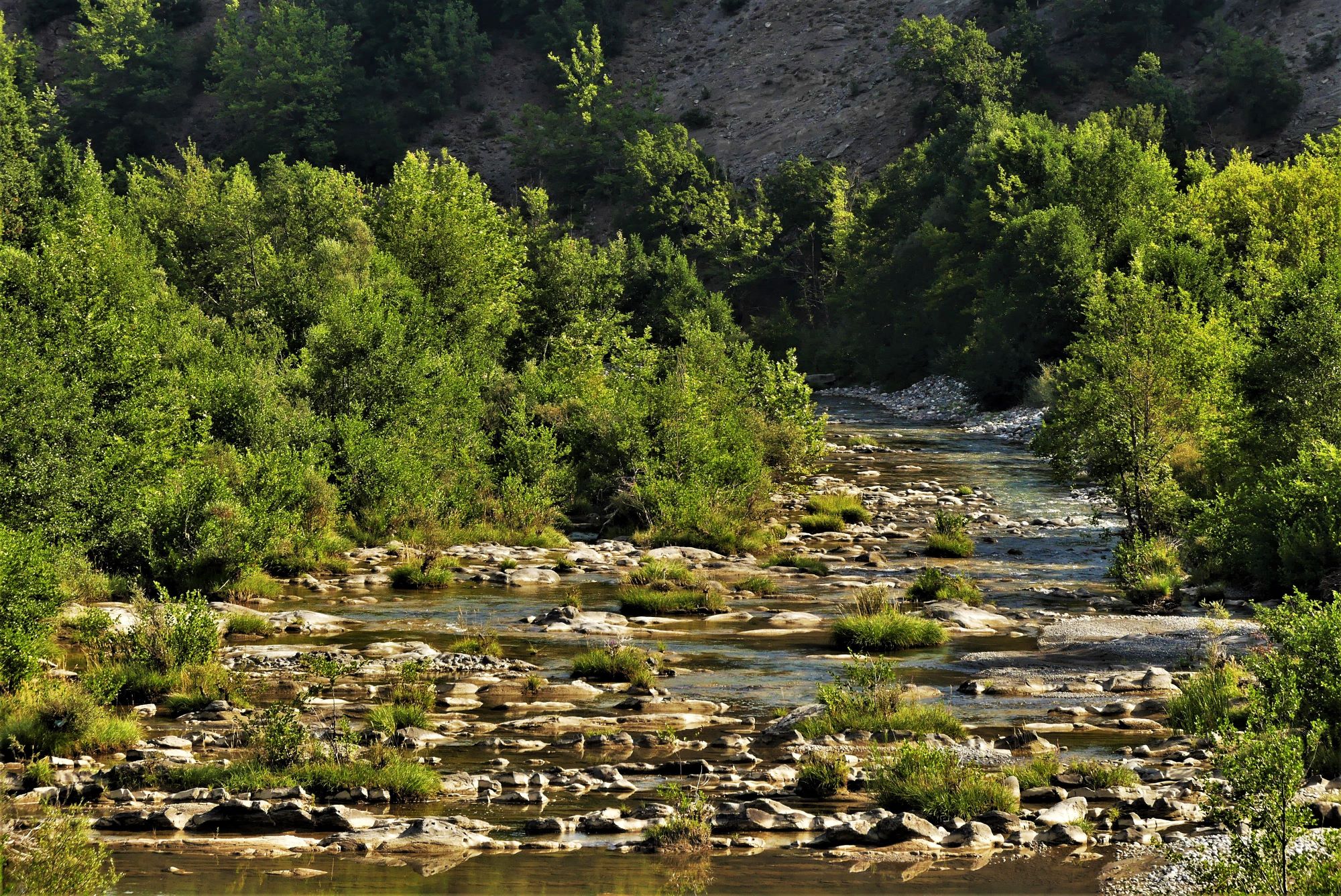 lia mageira proistoria3