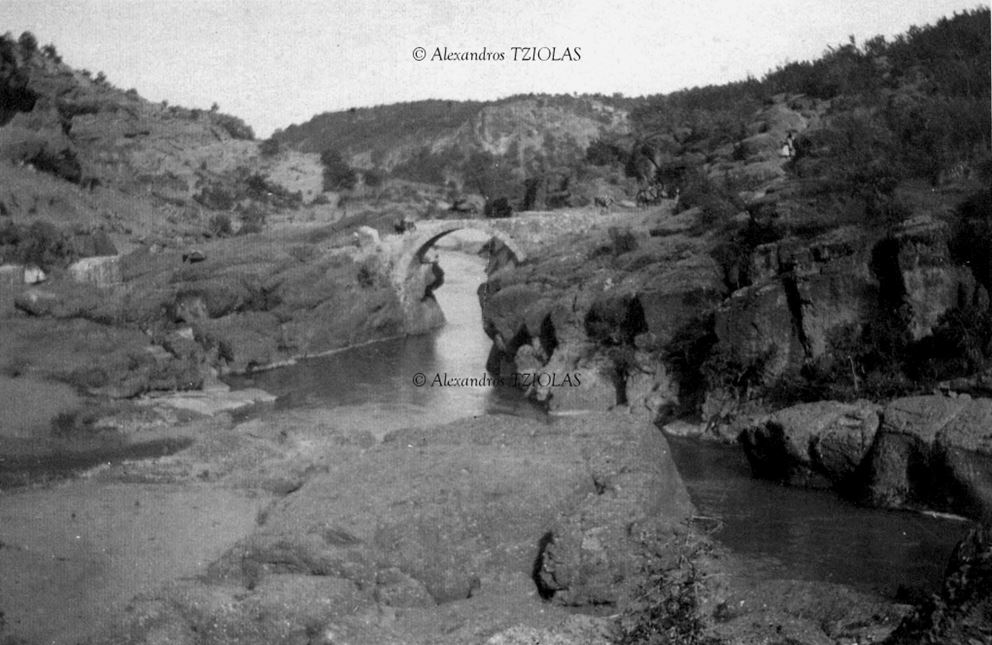 tziolas no 3