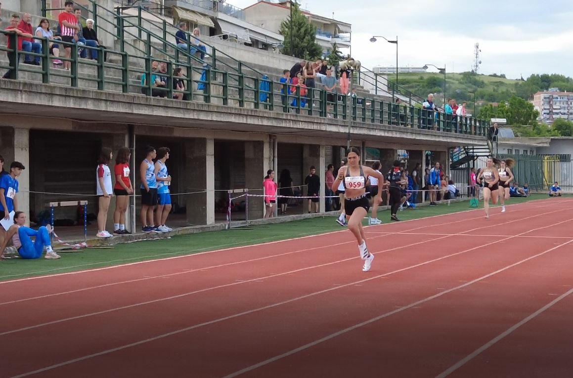 achilleia 2022 110eee11123weeww