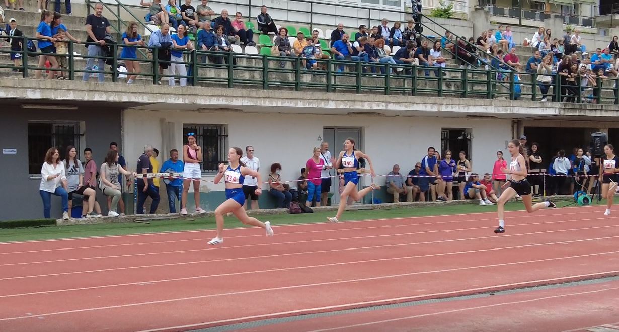 achilleia 2022 1111123