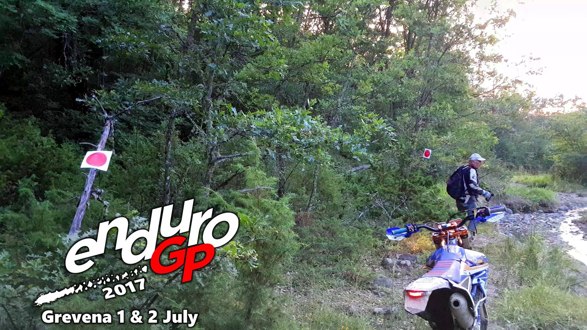 19453123 10155452474369568 3646464363796960907 o