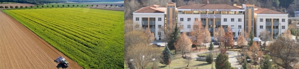 &Pi;.&Epsilon;. &Gamma;&rho;&epsilon;&beta;&epsilon;&nu;ώ&nu; &ndash; &Nu;έ&omicron;&iota; &Gamma;&epsilon;&omega;&rho;&gamma;&omicron;ί: Έ&nu;&tau;&alpha;&xi;&eta; &tau;&omega;&nu; &epsilon;&nu; &delta;&upsilon;&nu;ά&mu;&epsilon;&iota; &delta;&iota;&kappa;&alpha;&iota;&omicron;ύ&chi;&omega;&nu; &kappa;&alpha;&iota; &epsilon;&pi;&iota;&kappa;&alpha;&iota;&rho;&omicron;&pi;&omicron;ί&eta;&sigma;&eta; &tau;&omega;&nu; &alpha;&pi;&omicron;&tau;&epsilon;&lambda;&epsilon;&sigma;&mu;ά&tau;&omega;&nu; &delta;&iota;&omicron;&iota;&kappa;&eta;&tau;&iota;&kappa;&omicron;ύ &epsilon;&lambda;έ&gamma;&chi;&omicron;&upsilon; &alpha;&iota;&tau;&eta;&mu;ά&tau;&omega;&nu;