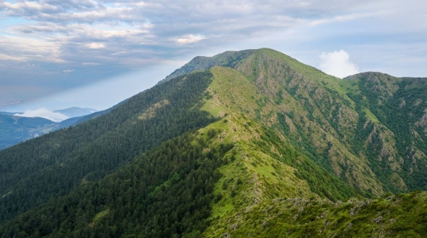 &Kappa;ά&tau;&omega; &tau;&alpha; &chi;έ&rho;&iota;&alpha; &alpha;&pi;ό &tau;&omicron; &Mu;&pi;&omicron;ύ&rho;&iota;&nu;&omicron;.