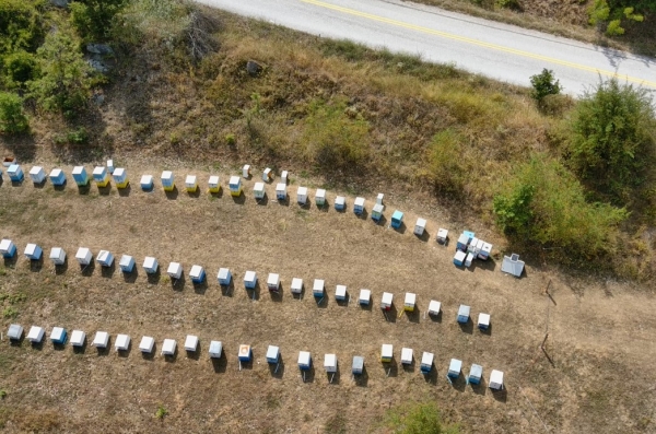Έ&omega;&sigmaf; &kappa;&alpha;&iota; 20 &Omicron;&kappa;&tau;&omega;&beta;&rho;ί&omicron;&upsilon; &omicron;&iota; &Alpha;&iota;&tau;ή&sigma;&epsilon;&iota;&sigmaf; &Kappa;&alpha;&tau;&epsilon;&chi;ό&mu;&epsilon;&nu;&omega;&nu; &Kappa;&upsilon;&psi;&epsilon;&lambda;ώ&nu; 2022