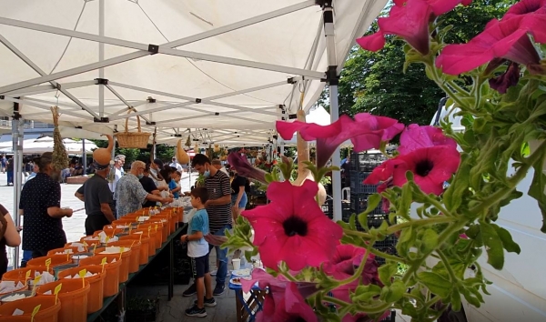 &Gamma;&Rho;&Epsilon;&Beta;&Epsilon;&Nu;&Alpha;: &Gamma;&Iota;&Omicron;&Rho;&Tau;&Eta; &Pi;&Alpha;&Rho;&Alpha;&Delta;&Omicron;&Sigma;&Iota;&Alpha;&Kappa;&Omega;&Nu; &Sigma;&Pi;&Omicron;&Rho;&Omega;&Nu; &alpha;&pi;&omicron; &tau;&eta;&nu; "&Alpha;&Upsilon;&Lambda;&Eta; &tau;&omega;&nu; &kappa;&eta;&pi;&omicron;&upsilon;&rho;ώ&nu; " (VIDEO)