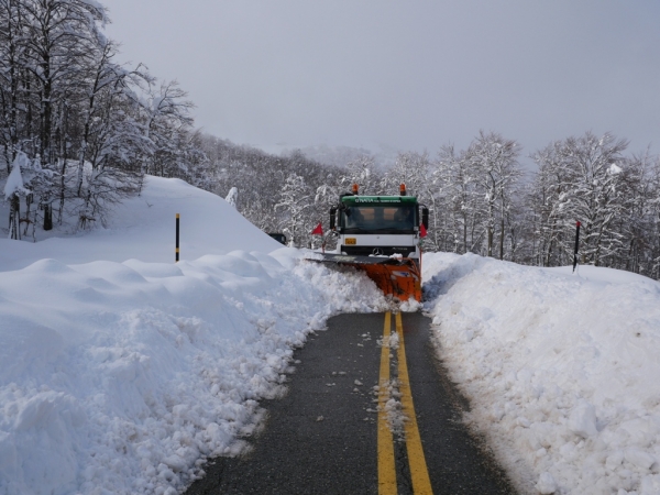 &Kappa;&alpha;&iota;&rho;&iota;&kappa;ό &sigma;ύ&sigma;&tau;&eta;&mu;&alpha; &ldquo;Bianca&rdquo;: &Epsilon;&Kappa;&Tau;&Alpha;&Kappa;&Tau;&Omicron; &Delta;&Epsilon;&Lambda;&Tau;&Iota;&Omicron; &Epsilon;&Pi;&Iota;&Kappa;&Iota;&Nu;&Delta;&Upsilon;&Nu;&Omega;&Nu; &Kappa;&Alpha;&Iota;&Rho;&Iota;&Kappa;&Omega;&Nu; &Phi;&Alpha;&Iota;&Nu;&Omicron;&Mu;&Epsilon;&Nu;&Omega;&Nu;