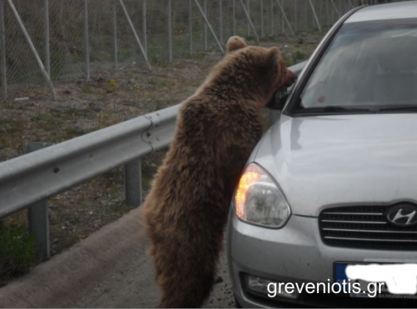 &Lambda;ή&psi;&eta; &pi;&rho;&omicron;&lambda;&eta;&pi;&tau;&iota;&kappa;ώ&nu; &mu;έ&tau;&rho;&omega;&nu; &kappa;&alpha;&iota; &alpha;&pi;&omicron;&phi;&upsilon;&gamma;ή&sigmaf; &pi;&epsilon;&rho;&iota;&sigma;&tau;&alpha;&tau;&iota;&kappa;ώ&nu; &pi;&rho;&omicron;&sigma;έ&gamma;&gamma;&iota;&sigma;&eta;&sigmaf; &alpha;&nu;&theta;&rho;ώ&pi;&omicron;&upsilon;-&alpha;&rho;&kappa;&omicron;ύ&delta;&alpha;&sigmaf;