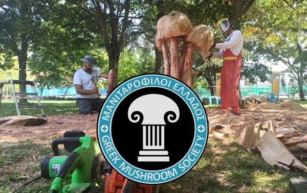 &Epsilon;&upsilon;&chi;&alpha;&rho;&iota;&sigma;&tau;ή&rho;&iota;&omicron; &Mu;&alpha;&nu;&iota;&tau;&alpha;&rho;ό&phi;&iota;&lambda;&omega;&nu; &Epsilon;&lambda;&lambda;ά&delta;&alpha;&sigmaf;