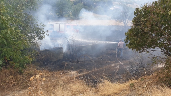 &Pi;&upsilon;&rho;&kappa;&alpha;&gamma;&iota;ά &sigma;&tau;&omicron; &Sigma;ύ&nu;&delta;&epsilon;&nu;&delta;&rho;&omicron; &Gamma;&rho;&epsilon;&beta;&epsilon;&nu;ώ&nu;
