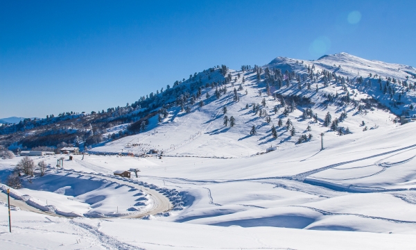 &Pi;&rho;&omicron;&sigma;&lambda;ή&psi;&epsilon;&iota;&sigmaf; &sigma;&tau;&omicron; &chi;&iota;&omicron;&nu;&omicron;&delta;&rho;&omicron;&mu;&iota;&kappa;ό &tau;&eta;&sigmaf; &Beta;&alpha;&sigma;&iota;&lambda;ί&tau;&sigma;&alpha;&sigmaf;