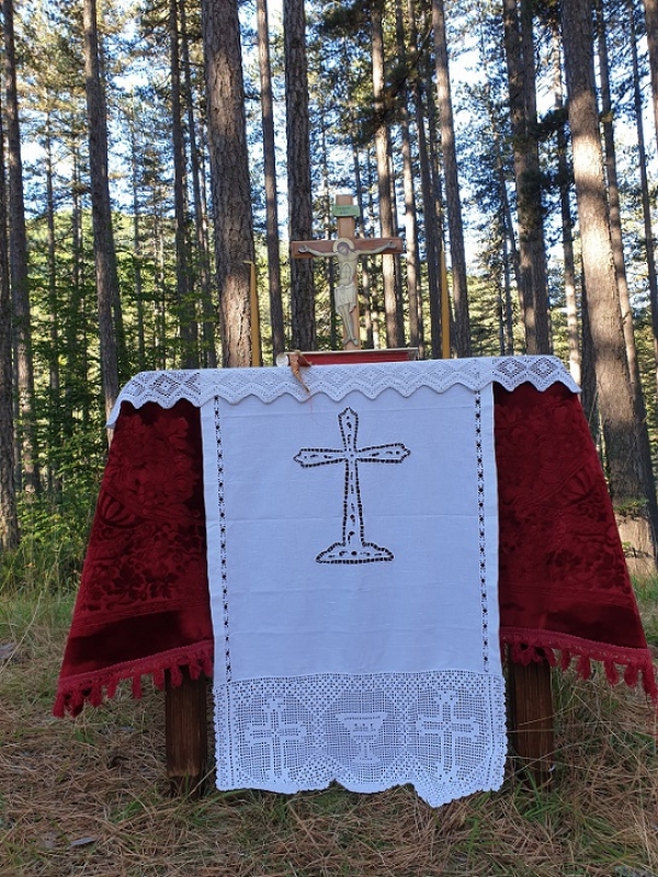 &Theta;&epsilon;ί&alpha; &Lambda;&epsilon;&iota;&tau;&omicron;&upsilon;&rho;&gamma;ί&alpha; &sigma;&tau;&omicron;&nu; &Epsilon;&theta;&nu;&iota;&kappa;ό &Delta;&rho;&upsilon;&mu;ό &tau;&eta;&sigmaf; &Beta;ά&lambda;&iota;&alpha; &Kappa;ά&lambda;&nu;&tau;&alpha;