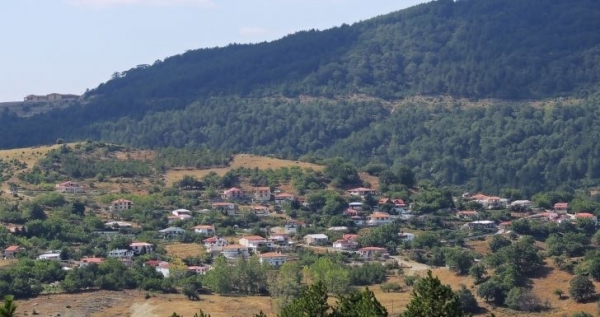 &Epsilon;&upsilon;&chi;&alpha;&rho;&iota;&sigma;&tau;ή&rho;&iota;&alpha; &epsilon;&pi;&iota;&sigma;&tau;&omicron;&lambda;ή &pi;&rho;&omicron;&sigmaf; &tau;&omicron;&nu; &Beta;&omicron;&upsilon;&lambda;&epsilon;&upsilon;&tau;ή &Gamma;&rho;&epsilon;&beta;&epsilon;&nu;ώ&nu;, &kappa;. &Alpha;&nu;&delta;&rho;έ&alpha; &Pi;ά&tau;&sigma;&eta;