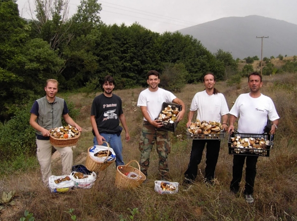 &Gamma;&rho;&epsilon;&beta;&epsilon;&nu;ά: &Pi;ώ&sigmaf; &mu;&iota;&alpha; &mu;&iota;&kappa;&rho;ή &pi;ό&lambda;&eta; &epsilon;&xi;&epsilon;&lambda;ί&chi;&theta;&eta;&kappa;&epsilon; &sigma;&epsilon; &kappa;&omicron;&rho;&upsilon;&phi;&alpha;ί&omicron; &pi;&rho;&omicron;&omicron;&rho;&iota;&sigma;&mu;ό &tau;&omega;&nu; &mu;&alpha;&nu;&iota;&tau;&alpha;&rho;ό&phi;&iota;&lambda;&omega;&nu;