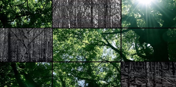 &Tau;&eta;&lambda;&epsilon;&omicron;&pi;&tau;&iota;&kappa;ό &kappa;&omicron;&iota;&nu;&omega;&nu;&iota;&kappa;ό &mu;ή&nu;&upsilon;&mu;&alpha; &gamma;&iota;&alpha; &delta;&alpha;&sigma;&iota;&kappa;έ&sigmaf; &pi;&upsilon;&rho;&kappa;&alpha;&gamma;&iota;έ&sigmaf;