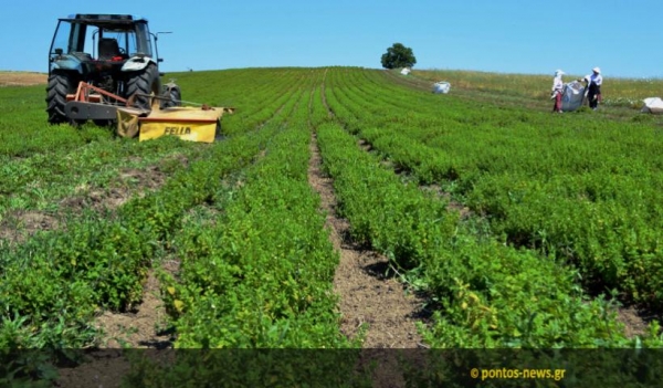 &Alpha;&nu;&alpha;&zeta;&eta;&tau;ώ&nu;&tau;&alpha;&sigmaf; &tau;&omicron;&nu; &alpha;&rho;&omega;&mu;&alpha;&tau;&iota;&kappa;ό &laquo;&chi;&rho;&upsilon;&sigma;ό&raquo; &sigma;&tau;&alpha; &Gamma;&rho;&epsilon;&beta;&epsilon;&nu;ά &ndash; &Eta; &sigma;&upsilon;&gamma;&kappa;&omicron;&mu;&iota;&delta;ή &kappa;&alpha;&iota; &eta; &alpha;&pi;ό&sigma;&tau;&alpha;&xi;&eta; &sigma;&epsilon; έ&nu;&alpha; &pi;&omicron;&nu;&tau;&iota;&alpha;&kappa;ό &chi;&omega;&rho;&iota;ό