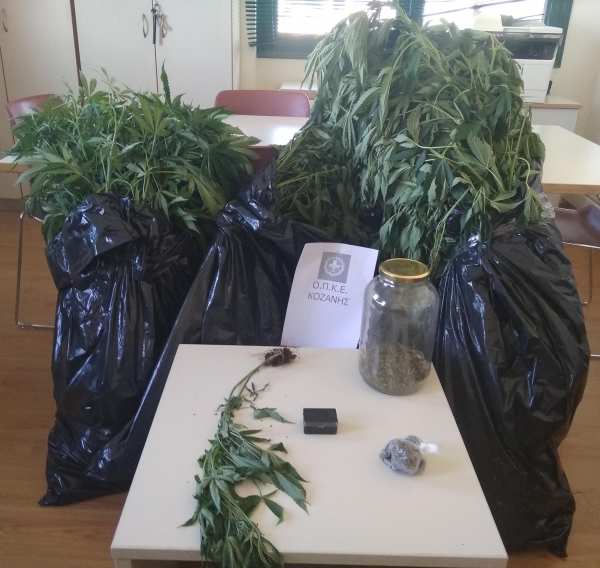 &Sigma;&upsilon;&nu;&epsilon;&lambda;ή&phi;&theta;&eta;&sigma;&alpha;&nu; &delta;ύ&omicron; ά&tau;&omicron;&mu;&alpha; &sigma;&epsilon; &pi;&epsilon;&rho;&iota;&omicron;&chi;ή &tau;&eta;&sigmaf; &Kappa;&omicron;&zeta;ά&nu;&eta;&sigmaf; &gamma;&iota;&alpha; &kappa;&alpha;&lambda;&lambda;&iota;έ&rho;&gamma;&epsilon;&iota;&alpha; &kappa;&alpha;&iota; &kappa;&alpha;&tau;&omicron;&chi;ή &nu;&alpha;&rho;&kappa;&omega;&tau;&iota;&kappa;ώ&nu; &omicron;&upsilon;&sigma;&iota;ώ&nu;