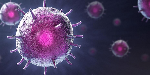 &Delta;&Upsilon;&Tau;&Iota;&Kappa;&Eta; &Mu;&Alpha;&Kappa;&Epsilon;&Delta;&Omicron;&Nu;&Iota;&Alpha;: &Eta;&Mu;&Epsilon;&Rho;&Eta;&Sigma;&Iota;&Alpha; &Alpha;&Nu;&Alpha;&Phi;&Omicron;&Rho;&Alpha; &Gamma;&Iota;&Alpha; COVID-19  K&upsilon;&rho;&iota;&alpha;&kappa;ή, 19 &Alpha;&pi;&rho;&iota;&lambda;ί&omicron;&upsilon; 2020