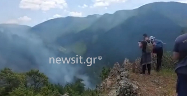 &Kappa;ά&nu;&omicron;&upsilon;&nu; έ&kappa;&kappa;&lambda;&eta;&sigma;&eta; &nu;&alpha; &sigma;&omega;&theta;&epsilon;ί &alpha;&pi;ό &tau;&eta; &phi;&omega;&tau;&iota;ά &omicron; &epsilon;&theta;&nu;&iota;&kappa;ό&sigmaf; &delta;&rho;&upsilon;&mu;ό&sigmaf; &Beta;ά&lambda;&iota;&alpha; &Kappa;ά&lambda;&nu;&tau;&alpha; (video)