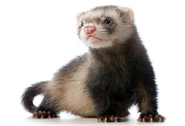 &Kappa;&omicron;&upsilon;&nu;ά&beta;&iota; &pi;&rho;&omicron;&kappa;ά&lambda;&epsilon;&sigma;&epsilon; &delta;&iota;&alpha;&kappa;&omicron;&pi;ή &rho;&epsilon;ύ&mu;&alpha;&tau;&omicron;&sigmaf; &sigma;&tau;&eta;&nu; &pi;ό&lambda;&eta; &tau;&omega;&nu; &Gamma;&rho;&epsilon;&beta;&epsilon;&nu;ώ&nu; &kappa;&alpha;&iota; &tau;&alpha; &gamma;ύ&rho;&omega; &chi;&omega;&rho;&iota;ά