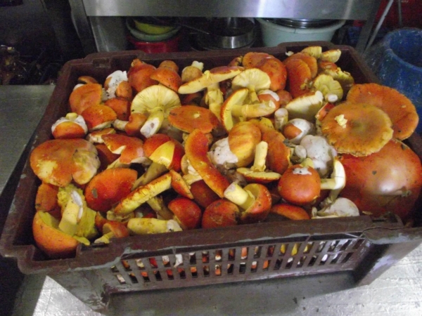 &Tau;&omicron; &tau;&mu;ή&mu;&alpha; &mu;&alpha;&gamma;&epsilon;&iota;&rho;&iota;&kappa;ή&sigmaf; &tau;&omicron;&upsilon; &Iota;&Epsilon;&Kappa; &Gamma;&rho;&epsilon;&beta;&epsilon;&nu;ώ&nu; &sigma;&tau;&alpha; &rdquo; M&alpha;&nu;&iota;&tau;&alpha;&rho;&omicron;&pi;&rho;&omicron;ϊό&nu;&tau;&alpha; &Gamma;&rho;&epsilon;&beta;&epsilon;&nu;ώ&nu;