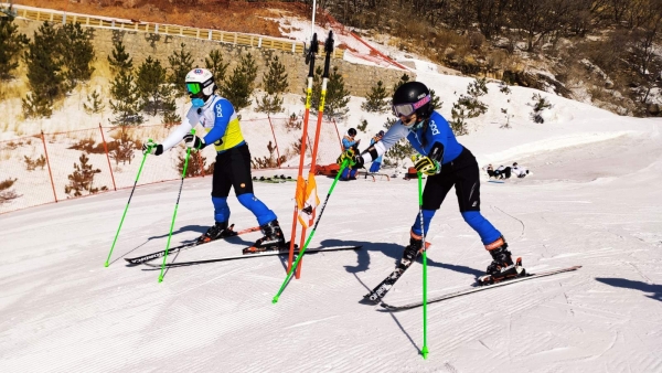 &Delta;ή&mu;&omicron;&sigmaf; &Gamma;&rho;&epsilon;&beta;&epsilon;&nu;ώ&nu;: &laquo;&Kappa;&alpha;&lambda;ή &Epsilon;&pi;&iota;&tau;&upsilon;&chi;ί&alpha;&raquo; &Epsilon;ύ&alpha; &kappa;&alpha;&iota; &Delta;&eta;&mu;ή&tau;&rho;&eta; &ndash; &Eta; &Epsilon;&lambda;&lambda;ά&delta;&alpha; &kappa;&alpha;&iota; &tau;&alpha; &Gamma;&rho;&epsilon;&beta;&epsilon;&nu;ά &sigma;&tau;&omicron;&upsilon;&sigmaf; &Chi;&epsilon;&iota;&mu;&epsilon;&rho;&iota;&nu;&omicron;ύ&sigmaf; &Pi;&alpha;&rho;&alpha;&omicron;&lambda;&upsilon;&mu;&pi;&iota;&alpha;&kappa;&omicron;ύ&sigmaf; &Alpha;&gamma;ώ&nu;&epsilon;&sigmaf; &tau;&omicron;&upsilon; &Pi;&epsilon;&kappa;ί&nu;&omicron;&upsilon; (&Beta;ί&nu;&tau;&epsilon;&omicron;)