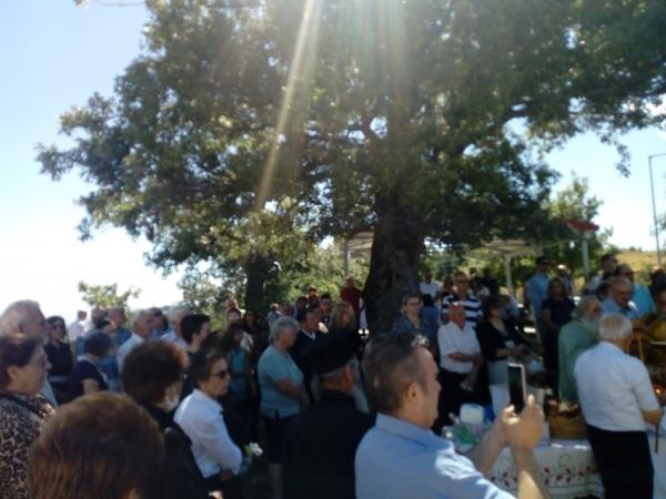 &Alpha;&gamma;ί&alpha; &Pi;&alpha;&rho;&alpha;&sigma;&kappa;&epsilon;&upsilon;ή, &Pi;&omicron;&lambda;&upsilon;&nu;έ&rho;&iota; 2020