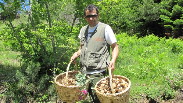 &Theta;&epsilon;ό&delta;&omega;&rho;&omicron;&sigmaf; &Kappa;&alpha;&rho;&alpha;&gamma;&iota;ά&nu;&nu;&eta;&sigmaf;: &Omicron; &iota;&delta;&iota;&omicron;&kappa;&tau;ή&tau;&eta;&sigmaf; &tau;&eta;&sigmaf; &mu;&omicron;&nu;&alpha;&delta;&iota;&kappa;ή&sigmaf; &mu;&alpha;&nu;&iota;&tau;&alpha;&rho;&omicron;&tau;&alpha;&beta;έ&rho;&nu;&alpha;&sigmaf; &sigma;&tau;&eta;&nu; &Epsilon;&lambda;&lambda;ά&delta;&alpha;