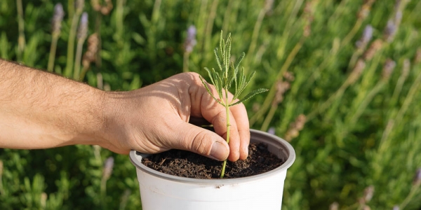 &Epsilon;&Nu;&Eta;&Mu;&Epsilon;&Rho;&Omega;&Tau;&Iota;&Kappa;&Omicron; &Delta;&Epsilon;&Lambda;&Tau;&Iota;&Omicron; &Tau;&Mu;&Eta;&Mu;&Alpha;&Tau;&Omicron;&Sigma; &Alpha;&Gamma;&Rho;&Omicron;&Tau;&Iota;&Kappa;&Eta;&Sigma; &Alpha;&Nu;&Alpha;&Pi;&Tau;&Upsilon;&Xi;&Eta;&Sigma; &Kappa;&Alpha;&Iota; &Epsilon;&Lambda;&Epsilon;&Gamma;&Chi;&Omega;&Nu; &Nu;&Omicron;&Mu;&Omicron;&Upsilon; &Gamma;&Rho;&Epsilon;&Beta;&Epsilon;&Nu;&Omega;&Nu;