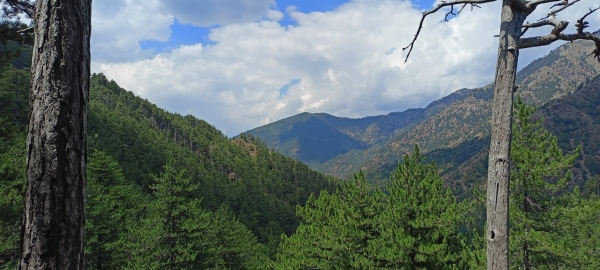 &Omicron;&iota;  έ&nu;&tau;&omicron;&nu;&epsilon;&sigmaf; &beta;&rho;&omicron;&chi;&omicron;&pi;&tau;ώ&sigma;&epsilon;&iota;&sigmaf; &sigma;&tau;&eta;&nu; &Beta;ά&lambda;&iota;&alpha; &Kappa;ά&lambda;&nu;&tau;&alpha; έ&sigma;&beta;&eta;&sigma;&alpha;&nu; &tau;&eta; &phi;&omega;&tau;&iota;ά.