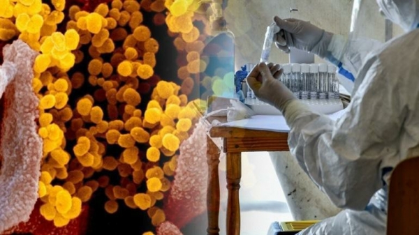 2 &nu;έ&alpha; &kappa;&rho;&omicron;ύ&sigma;&mu;&alpha;&tau;&alpha; &sigma;&tau;&eta;&nu; &Pi;.&Epsilon;. &Kappa;&omicron;&zeta;ά&nu;&eta;&sigmaf; &amp; 2 &sigma;&tau;&eta;&nu; &Pi;.&Epsilon;. &Kappa;&alpha;&sigma;&tau;&omicron;&rho;&iota;ά&sigmaf; &ndash; A&nu;&alpha;&lambda;&upsilon;&tau;&iota;&kappa;ά &eta; &gamma;&epsilon;&omega;&gamma;&rho;&alpha;&phi;&iota;&kappa;ή &kappa;&alpha;&tau;&alpha;&nu;&omicron;&mu;ή &tau;&omega;&nu; &nu;έ&omega;&nu; &kappa;&rho;&omicron;&upsilon;&sigma;&mu;ά&tau;&omega;&nu;