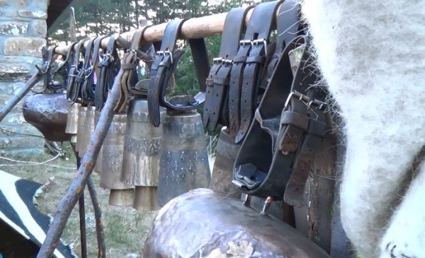 &Sigma;&Alpha;&Mu;&Alpha;&Rho;&Iota;&Nu;&Alpha;: &Sigma;&epsilon; &alpha;&pi;ό&gamma;&nu;&omega;&sigma;&eta; &omicron;&iota; &kappa;&tau;&eta;&nu;&omicron;&tau;&rho;ό&phi;&omicron;&iota; &alpha;&pi;&omicron; &tau;&iota;&sigmaf; &epsilon;&pi;&iota;&theta;έ&sigma;&epsilon;&iota;&sigmaf; &tau;&eta;&sigmaf; &alpha;&rho;&kappa;&omicron;ύ&delta;&alpha;&sigmaf; &sigma;&tau;&alpha; &kappa;&omicron;&pi;ά&delta;&iota;&alpha; &tau;&omicron;&upsilon;&sigmaf; (VIDEO)