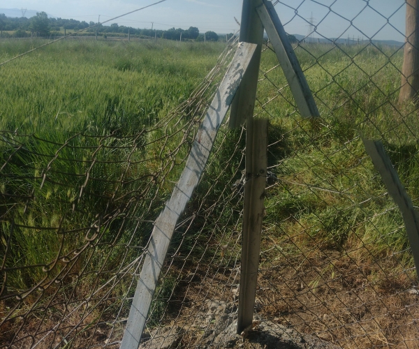 &Epsilon;&pi;&iota;&delta;&rho;&omicron;&mu;ή &alpha;&rho;&kappa;&omicron;ύ&delta;&alpha;&sigmaf; &sigma;&tau;&omicron; &chi;&omega;&rho;&iota;ό &Kappa;&alpha;&lambda;&alpha;&mu;ί&tau;&sigma;&iota;.