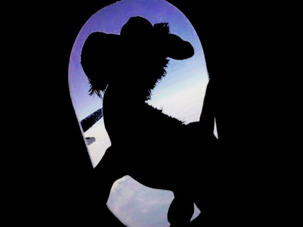 &rdquo;&Omicron; &Gamma;ά&iota;&delta;&alpha;&rho;&omicron;&sigmaf; &Pi;&epsilon;&tau;ά&rdquo; &alpha;&pi;ό &tau;&eta;&nu; &epsilon;&xi;ά&chi;&rho;&omicron;&nu;&eta; &Iota;&omega;ά&nu;&nu;&alpha; &kappa;&alpha;&iota; &tau;&omicron;&nu; &omicron;&kappa;&tau;ά&chi;&rho;&omicron;&nu;&omicron; &Delta;&eta;&mu;ή&tau;&rho;&eta; &alpha;&pi;ό &tau;&alpha; &Gamma;&rho;&epsilon;&beta;&epsilon;&nu;ά ( video )