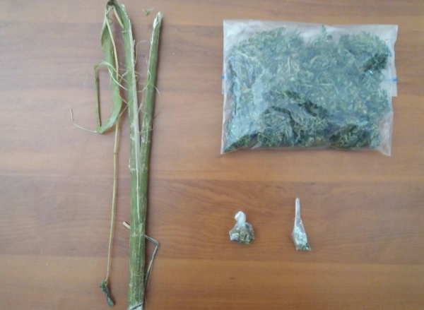 &Sigma;ύ&lambda;&lambda;&eta;&psi;&eta; 59&chi;&rho;&omicron;&nu;&omicron;&upsilon; &sigma;&epsilon; &pi;&epsilon;&rho;&iota;&omicron;&chi;ή &tau;&omega;&nu; &Gamma;&rho;&epsilon;&beta;&epsilon;&nu;ώ&nu; &gamma;&iota;&alpha; &kappa;&alpha;&tau;&omicron;&chi;ή &nu;&alpha;&rho;&kappa;&omega;&tau;&iota;&kappa;ώ&nu; &omicron;&upsilon;&sigma;&iota;ώ&nu;